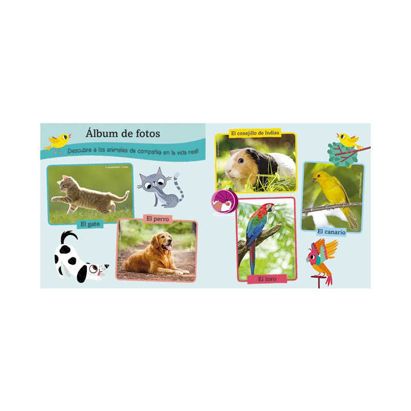 Libro de Sonidos: Animales de Compañía