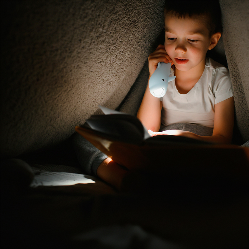 Linterna de Silicona Delfín