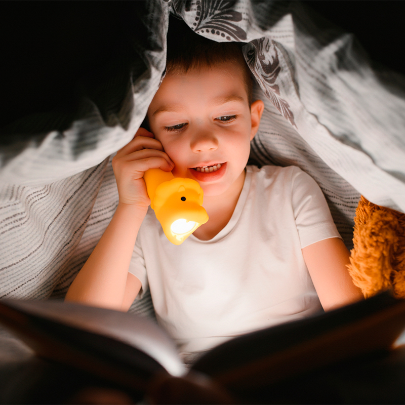 Linterna de Silicona León