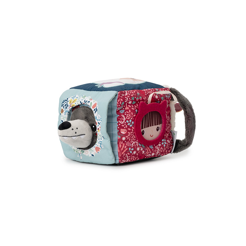 Louis Lobo Cubo de Descubrimientos