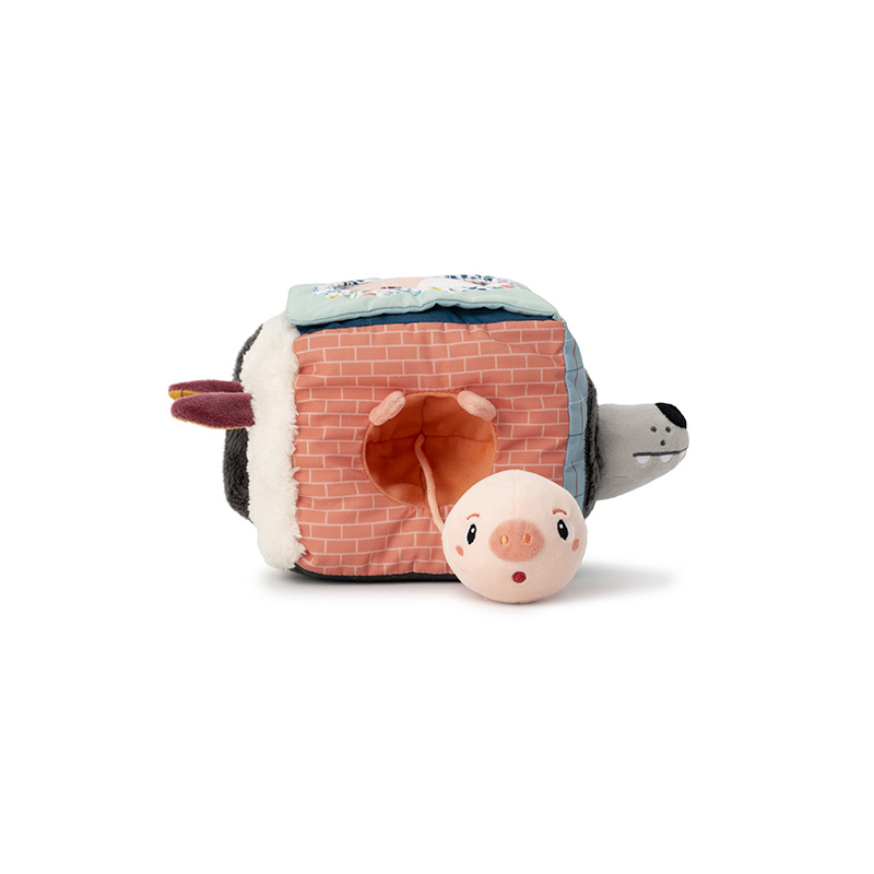 Louis Lobo Cubo de Descubrimientos