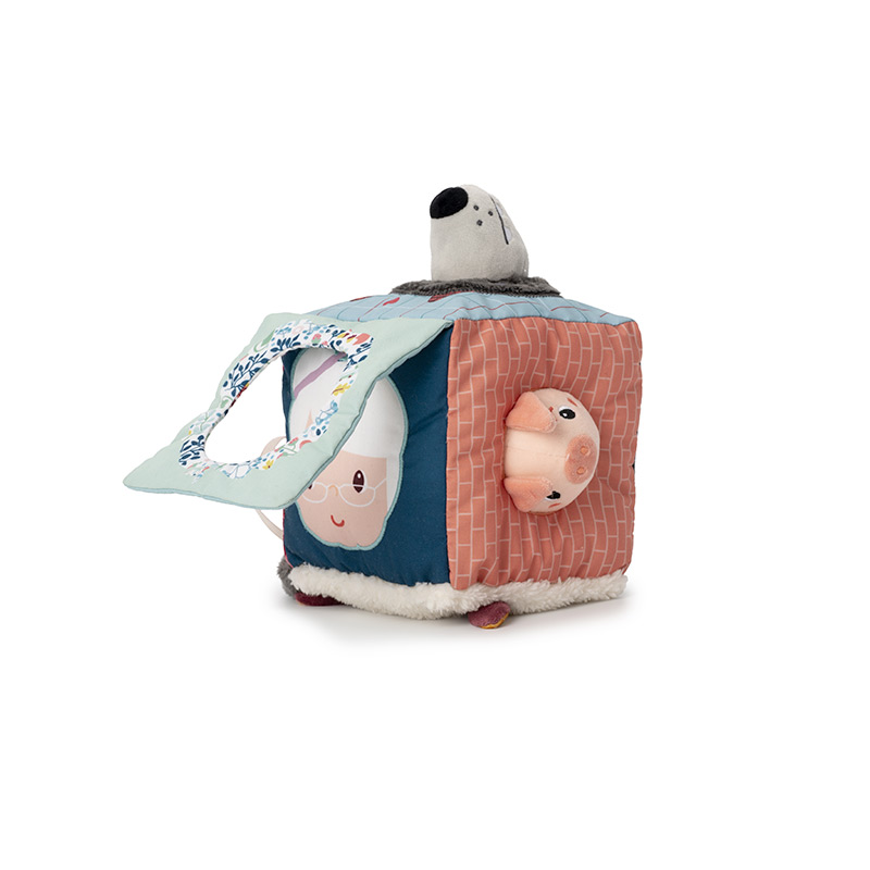 Louis Lobo Cubo de Descubrimientos