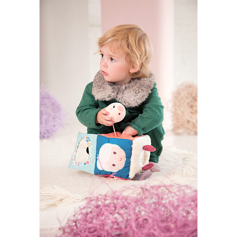 Louis Lobo Cubo de Descubrimientos