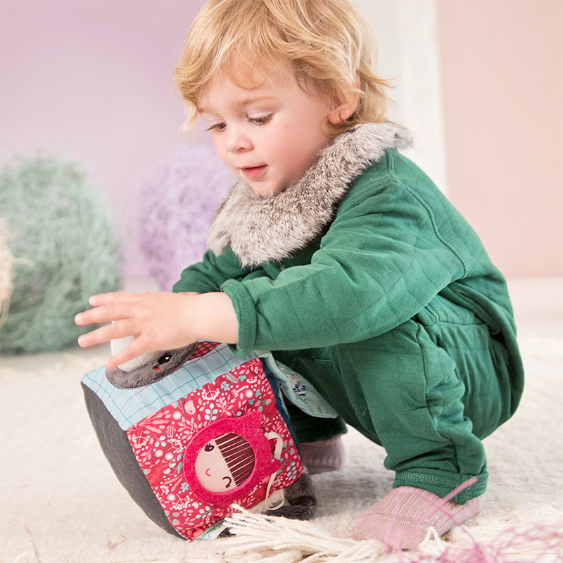 Louis Lobo Cubo de Descubrimientos