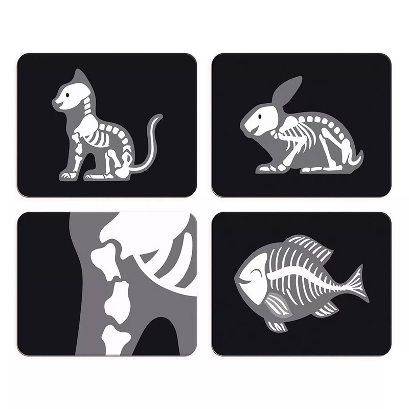 Maletín de Veterinario