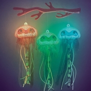 Medusas Brillantes