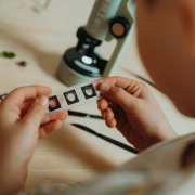 Microscópio Verde Kidywolf