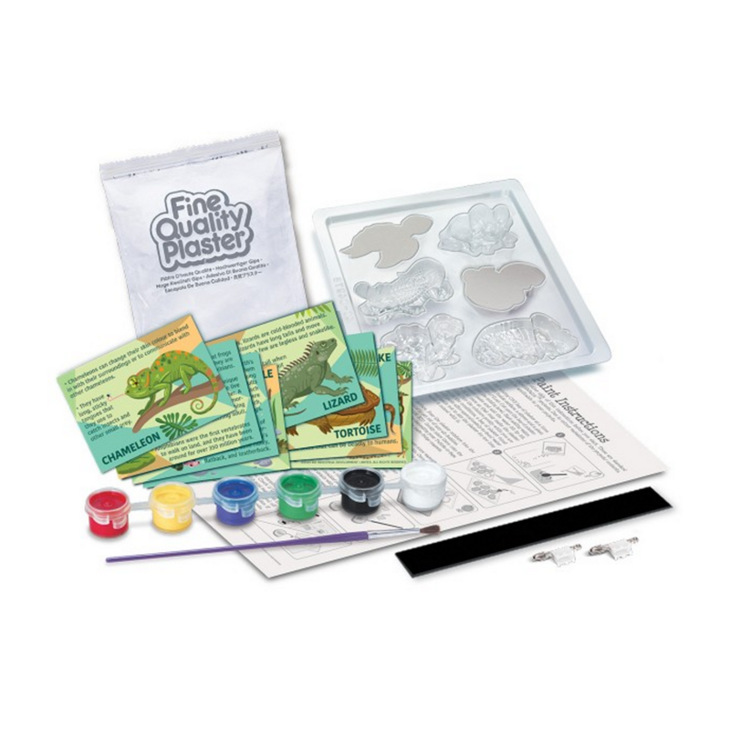 Molde e Pinte Répteis e Anfíbios