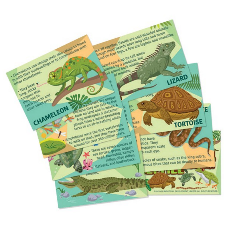 Molde e Pinte Répteis e Anfíbios