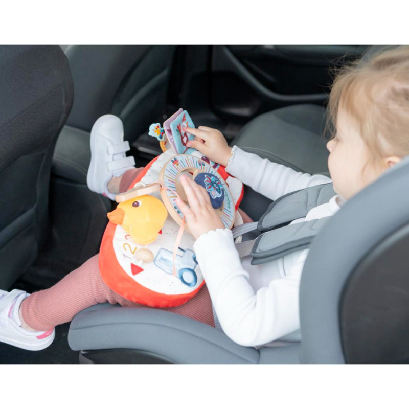 Panel de Actividades Coche