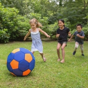 Pelota Gigante