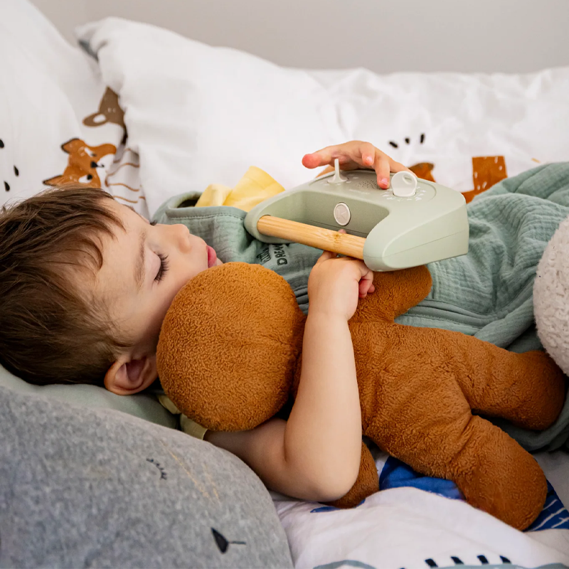 Petit Morphée Multiidioma