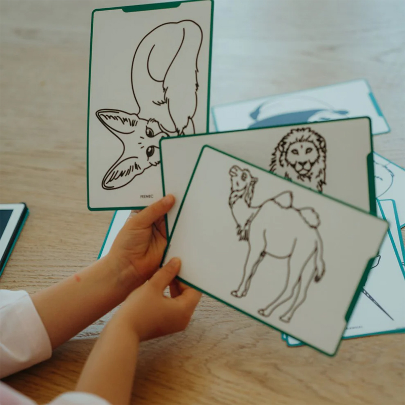 Plantillas Kidydraw Mini Animales y Piratas