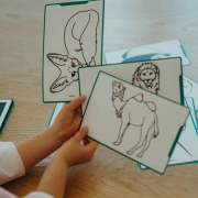 Plantillas Kidydraw Mini Animales y Piratas