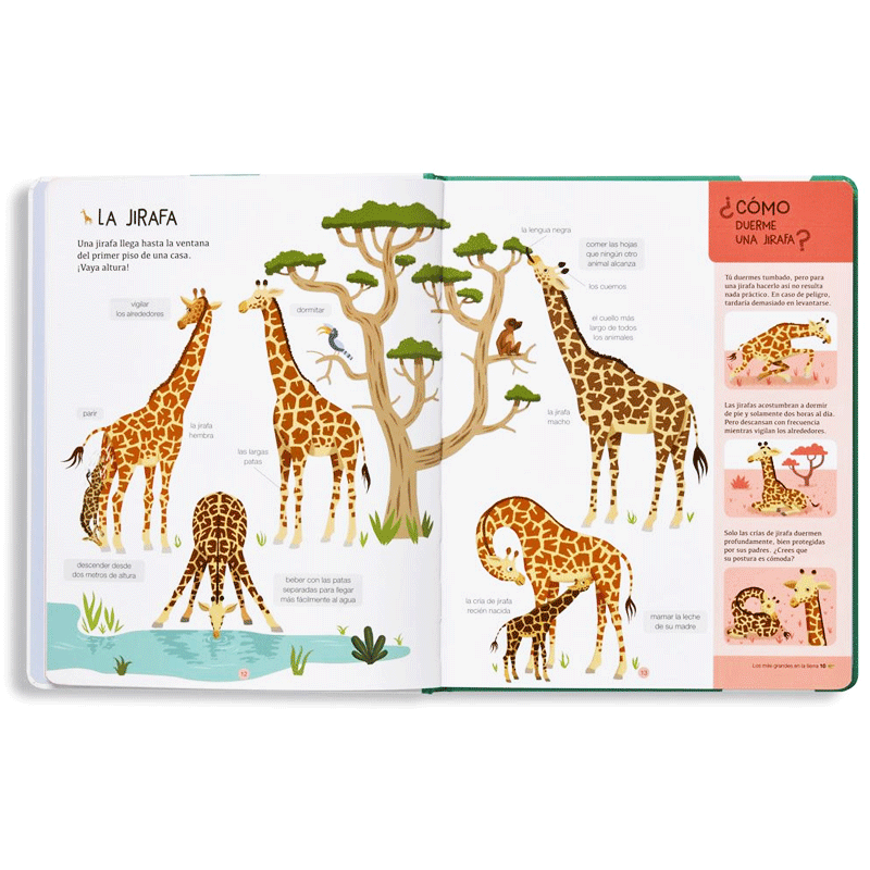 Récords de animales