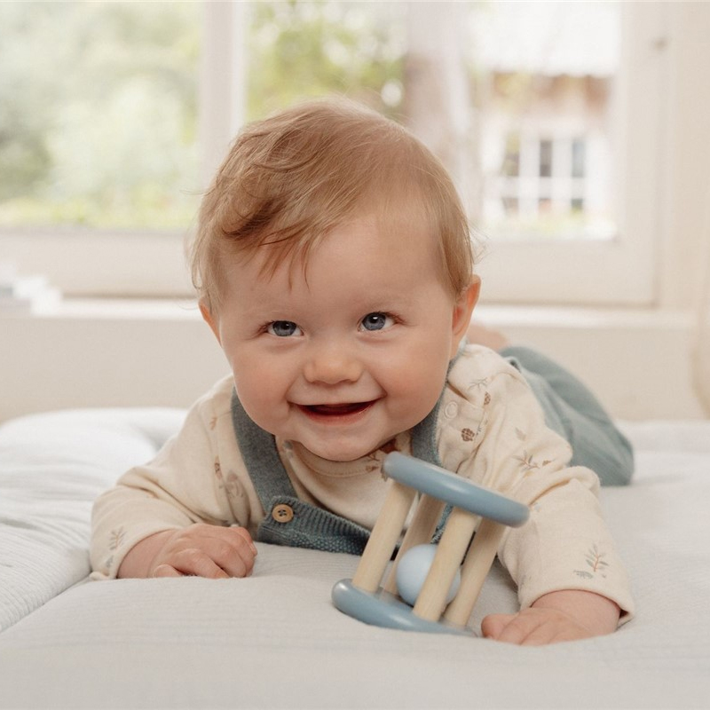 Roller Forest Friends