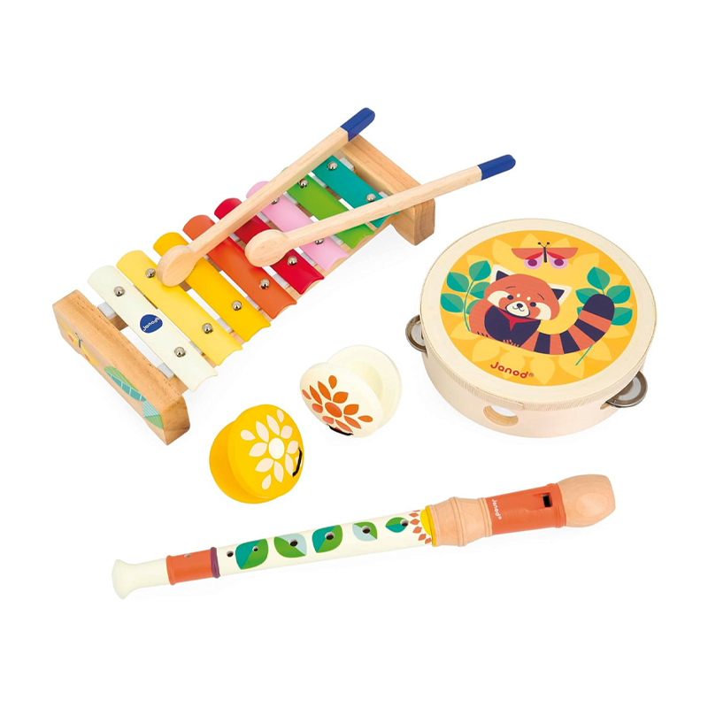 Set de Instrumentos Musicales Gioia