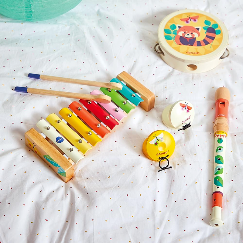 Set de Instrumentos Musicales Gioia