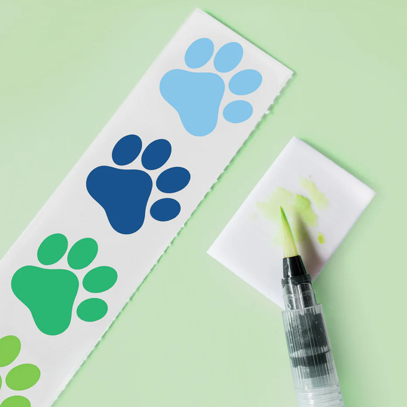 Conjunto Pintura Animais Selvagens