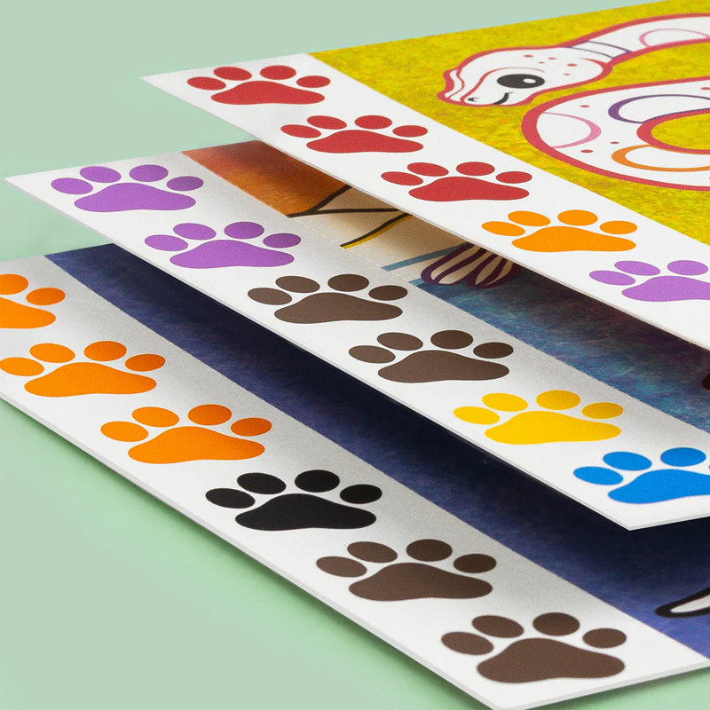 Conjunto Pintura Animais Selvagens