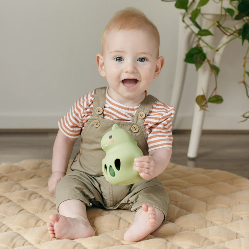 Guizo de Silicone Dino