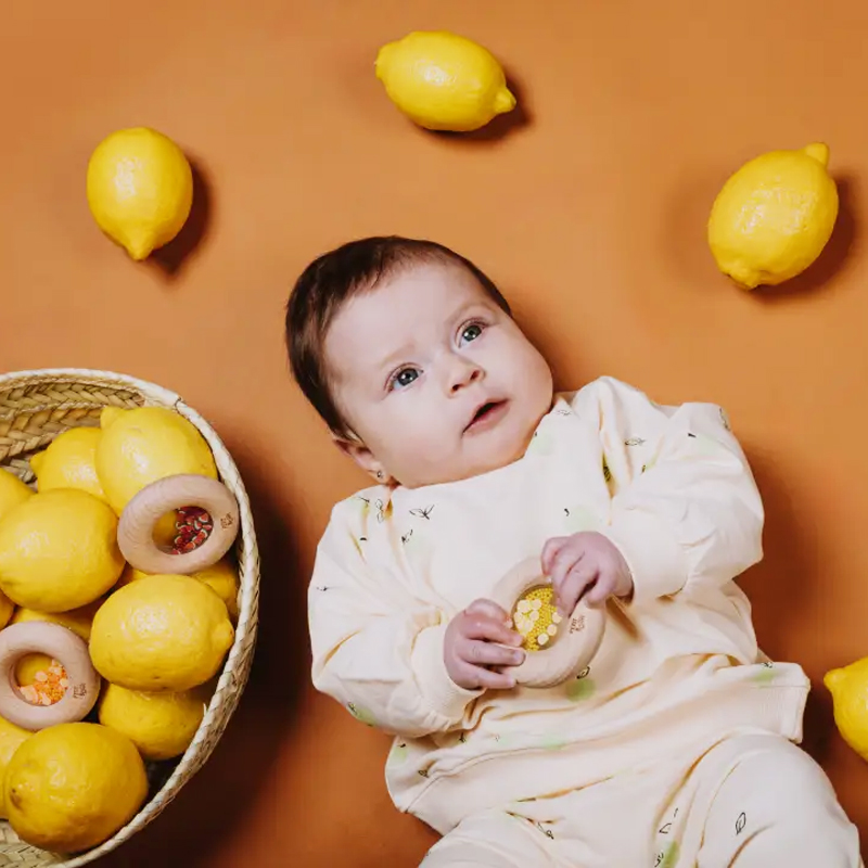 Chocalho Sensorial Donut Morango