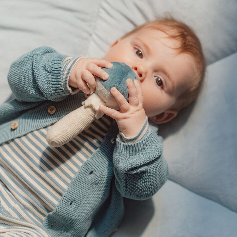 Sonajero Seta Forest Friends