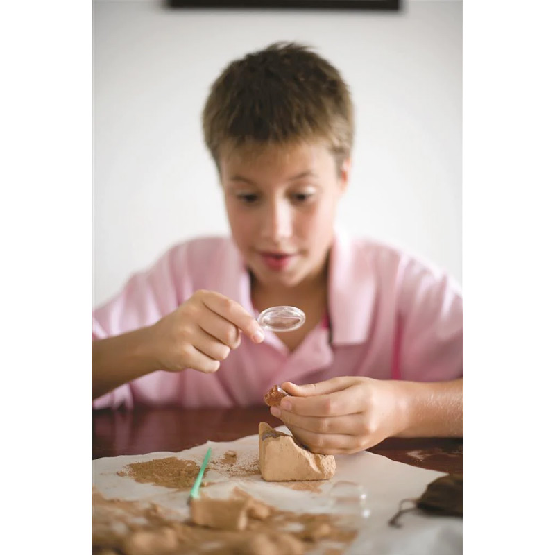 STEAM Ciencias de la Tierra