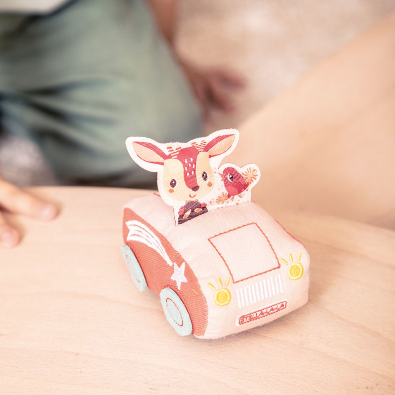 Stella Carro de Fricção