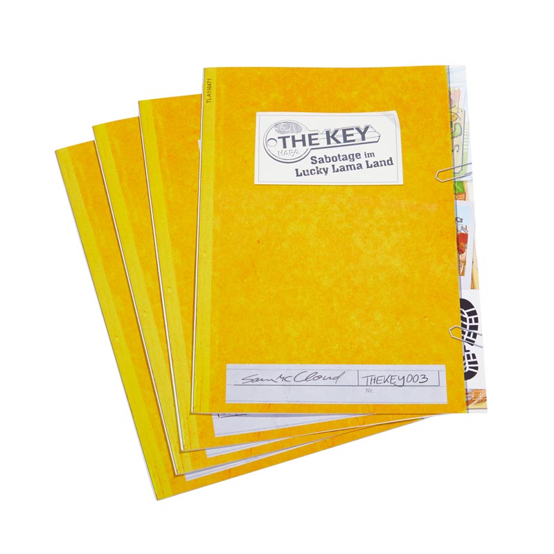 The Key: Sabotaje en el Parque de Atracciones