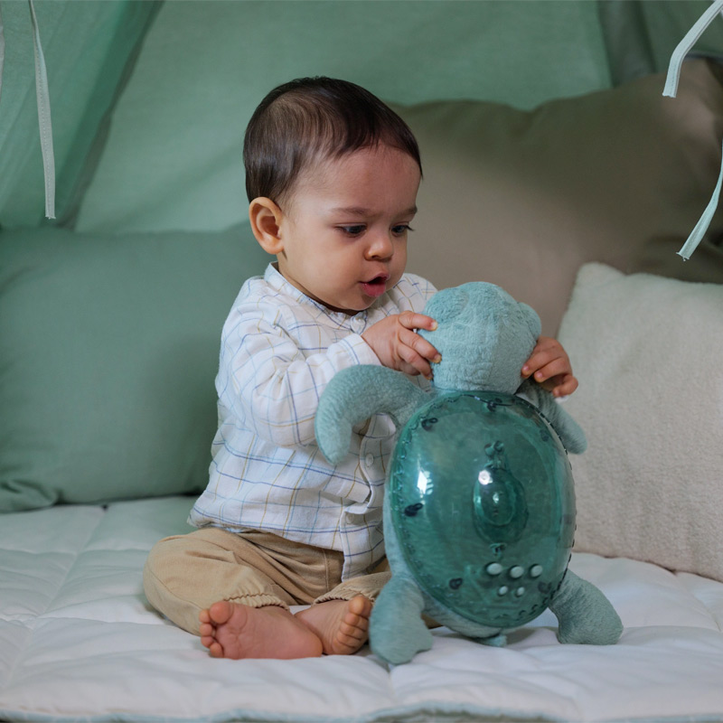 Tartaruga Calminha Recarregável Cloud B Verde